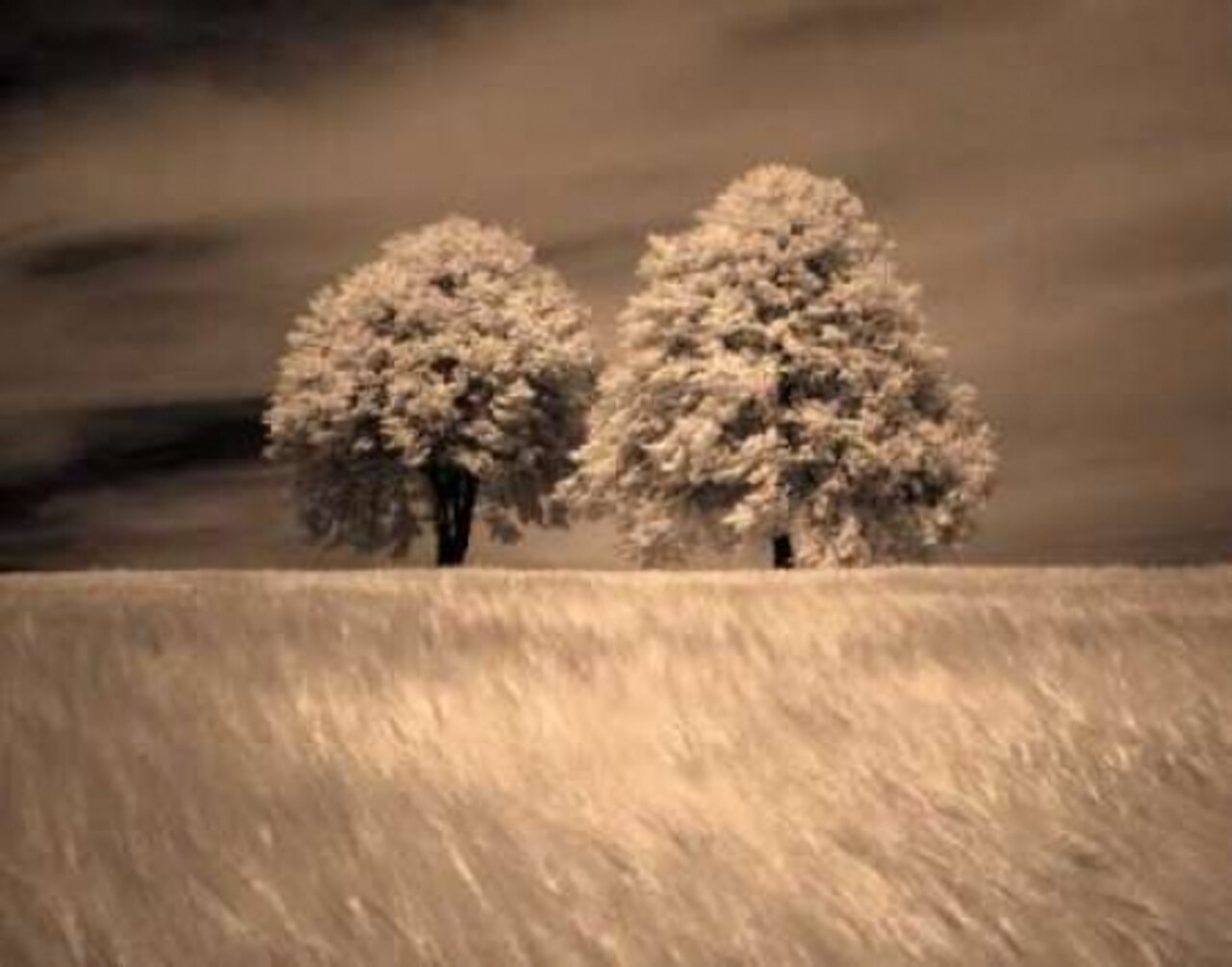 Together and Alone I Poster Print by Ily Szilagyi - Item # VARPDXSIP201